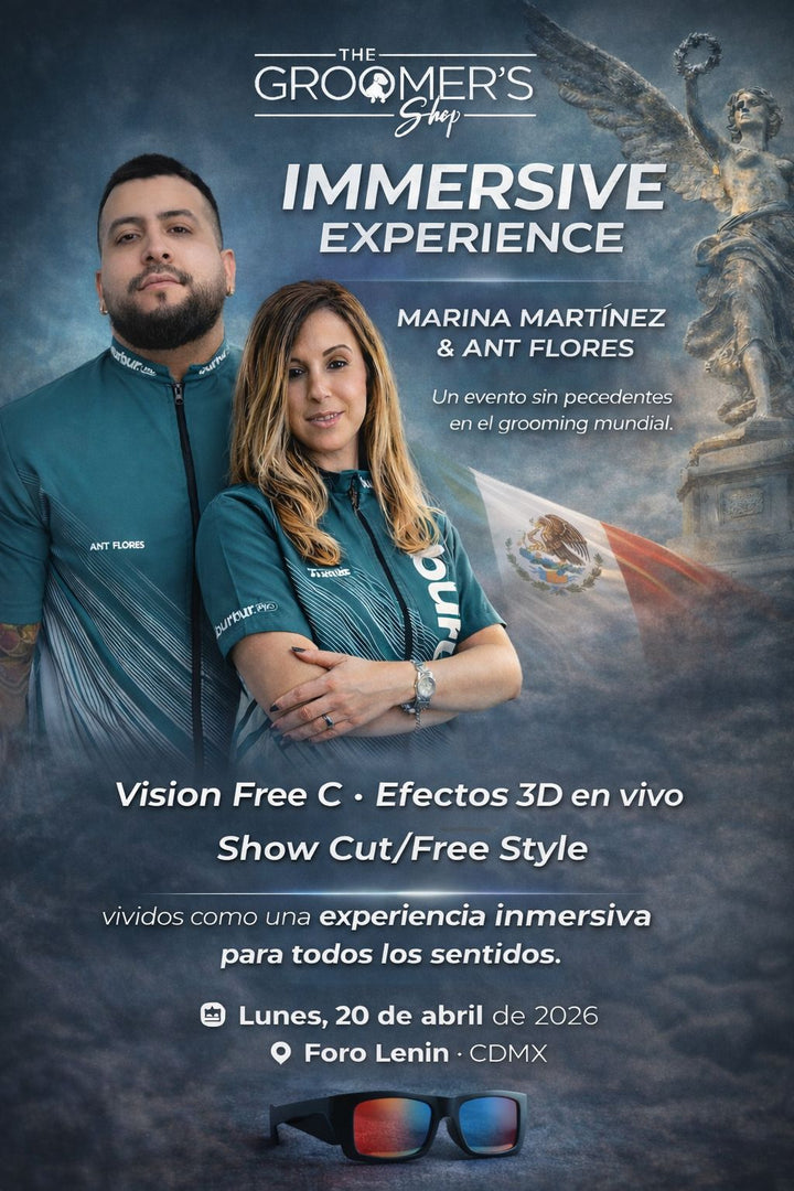 Immersive Experience 2026