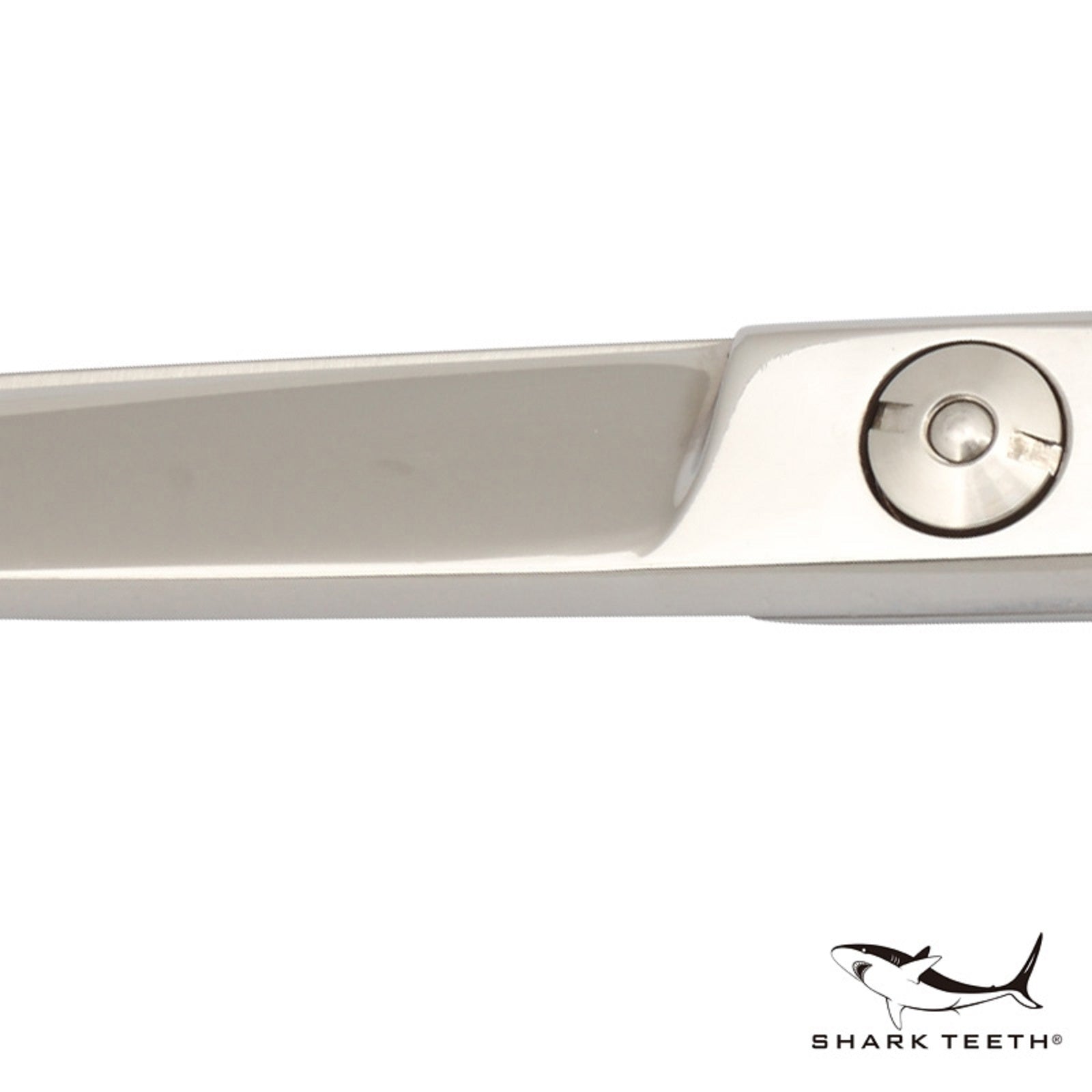 4-Star 7.0" Straight Professional Pet Dog Grooming Shears