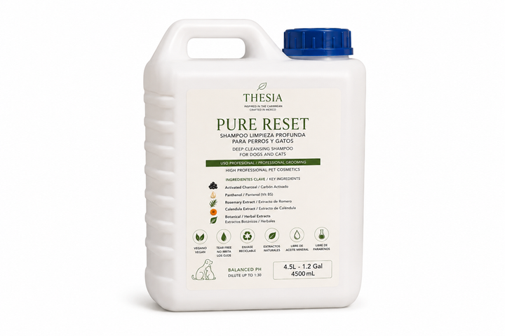 Thesia Rainforest Shampoo 4.5L