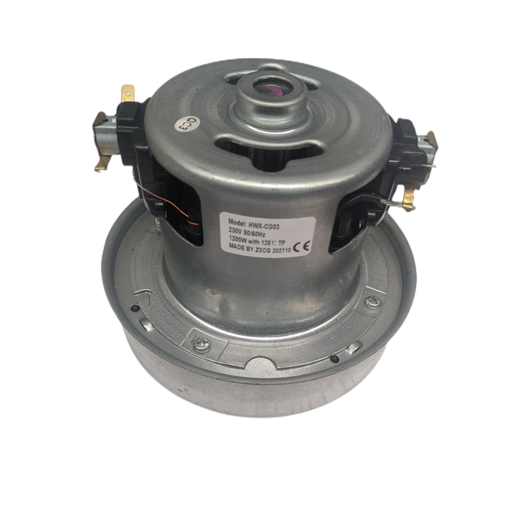 Replacement Motor 1100w - 110v